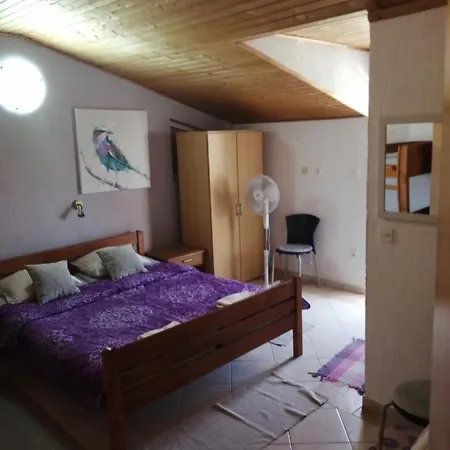 Apartment Neda Pakostane
